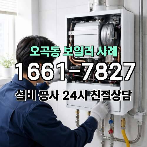 게시판 이미지 1981