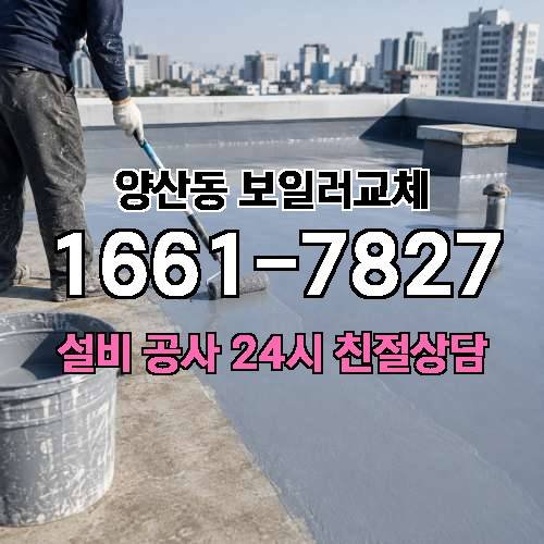 게시판 이미지 529