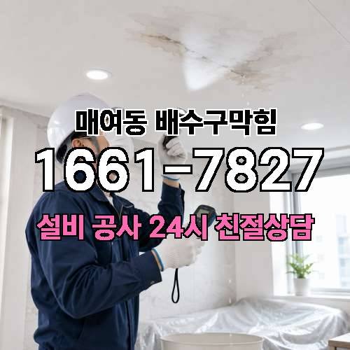 게시판 이미지 2460