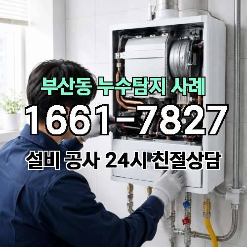 게시판 이미지 524