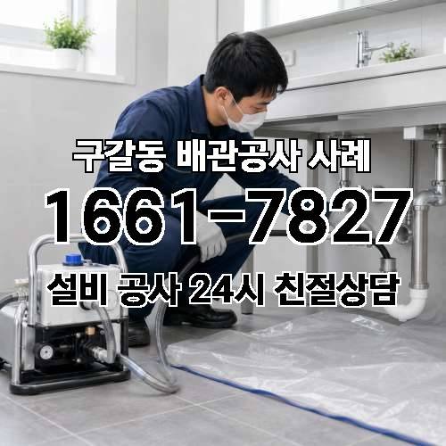게시판 이미지 542