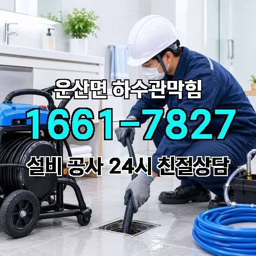 게시판 이미지 4519