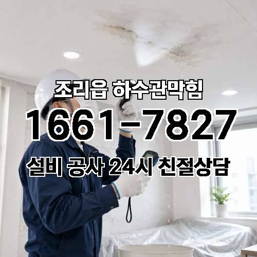 게시판 이미지 975