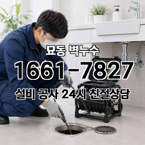 게시판 이미지 3156